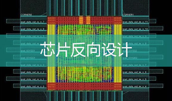 1774849772524718.jpg 芯片反向设计.jpg